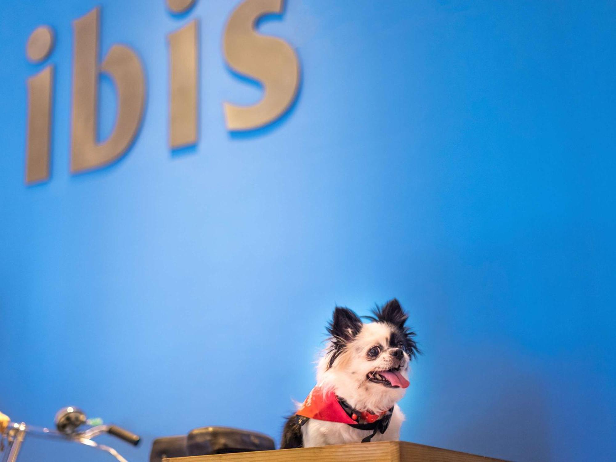 Ibis Montpellier Centre Comedie Exterior foto